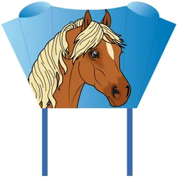 Sleddy - Kinderdrachen Pony