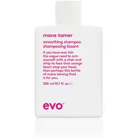 evo mane tamer smoothing shampoo 300 ml