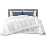 VOUNOT Bettdecke 220x240 Cm, 4 Jahreszeiten Winterdecke 2er Set 500gsm - Vounot