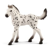 schleich 17076 Knabstrupper Fohlen, ab 5 Jahren, HORSE CLUB - Spielfigur, 3 x 9 x 8 cm