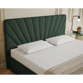 panda möbel Polsterbett RAY - Komfortbett mit Stauraum, Doppelbett, Dunkelgrün, 180x200cm, Taschenfederkernmatratze, H3 - dunkelgrün