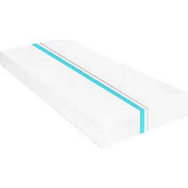 vidaXL Matratze 80 x 200 x 16 cm H2/H3