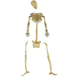20 Mini Skelettteile zum Streuen