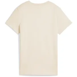 Puma Essentials No. 1 Logo T-Shirt alpine snow M