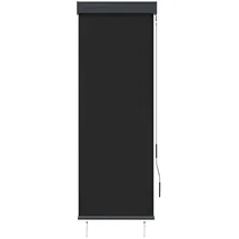 vidaXL Außenrollo 60 x 250 cm Anthrazit
