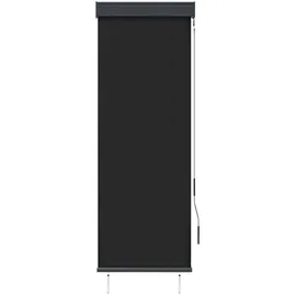 vidaXL Außenrollo 60 x 250 cm Anthrazit