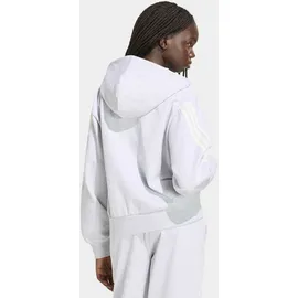 adidas Kapuzensweatshirt Grau XL