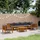 vidaXL Garten-Lounge-Set 7-tlg. grau Akazie