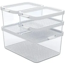 Rotho Kühlschrank-Organizer Set 4-tlg. transparent