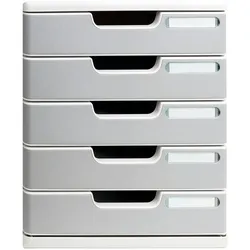 Exacompta Archivboxen mit 5 Schubladen, 32x35x29 cm, lichtgrau, 8 Stück