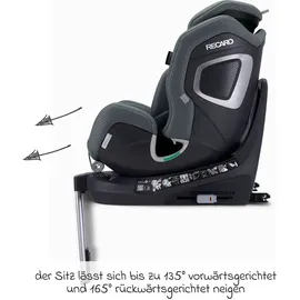 Recaro Xenon 1 Gallant Grey