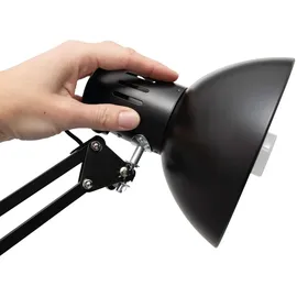 Maul MAULstudy (8201190)