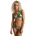 Sol Searcher Multi Tri S