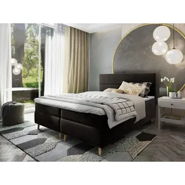 masseno Santa 160 x 200 cm H2 Schwarz