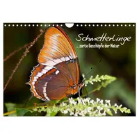 Calvendo Schmetterlinge - zarte Geschöpfe der Natur (Wandkalender 2026