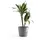 ecopot Amsterdam Ø 20 x 17,5 cm Grau