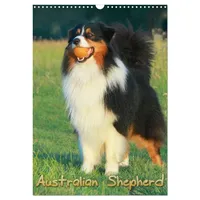 Calvendo Australian Shepherd (Wandkalender 2026 DIN A3 hoch), CALVENDO