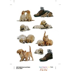 HERMA 5606 10x Sticker DECOR Hundewelpen