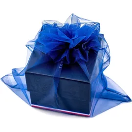 Tommy Hilfiger Legend 1710570 Herrenuhr - Silber/Schwarz