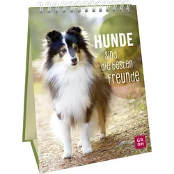 Hunde sind die besten Freunde