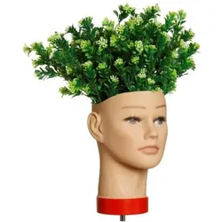 L'IMAGE Planter's Head
