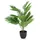 HJH Office Kunstpflanze ARECA Palme Grün