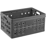 SUNWARE Klappbox the flap-line 54 x 38 x 26,5 cm 1-tlg. anthrazit