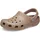 Latte 36-37