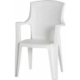 PROGARDEN Eden Gartensessel 55 x 46 x 91 cm weiß 4er Set