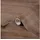 d-c-fix Adhésif Décoratif Aspect Bois Artisan Oak 45cmx2m - Dc-fix