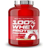 Scitec Nutrition 100% Whey Protein Professional Vanille-Waldfrüchte Pulver 2350 g