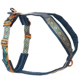 Non-Stop Dogwear Line Harness 5.0 Rachel Pohl Edition teal/oak