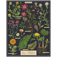 cavallini & co Cavallini Papers & Co. PZL Herbarium 1000 Teile Puzzle, Mehrfarbig/Meereswellen (Ocean Tides)