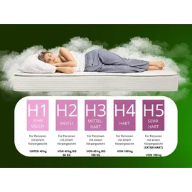 marpur 7 Zonen Muvieso 160 x 200 cm H3