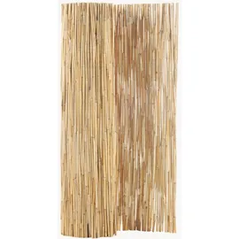 casa.pro Schilfzaun 150 x 300 cm Beige