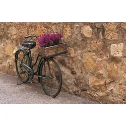 Fototapete PAPERMOON "ALTSTADT-VINTAGE FAHRRAD XXL", bunt, B:4,50m L:2,80m, Vlies, Tapeten