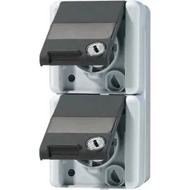 Jung Schuko-Steckdose 2-fach Grau 2 St.