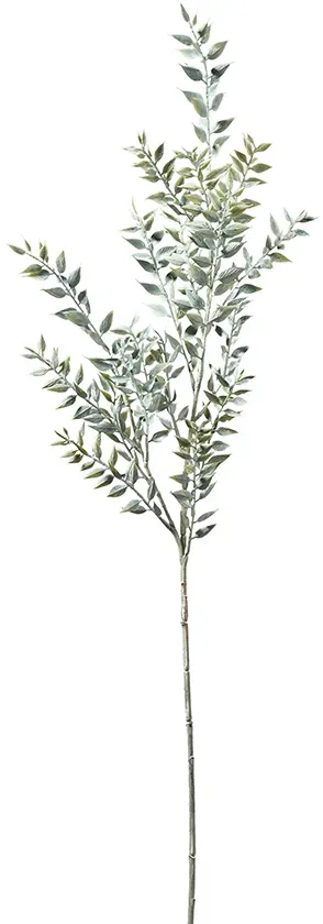Ruscus Zweig 94cm grün/grau