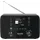 TechniSat DigitRadio 550 IR