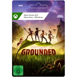 Grounded Standard