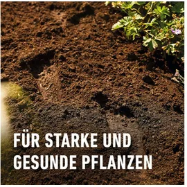 Compo Sana Pflanzerde 50 l