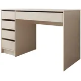 Mirjan24 Schreibtisch Sand, 5 Schubladen, Rechteckig, 120x76x55 cm, Arbeitszimmer, Schreibtische, Bürotische