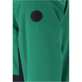 Whistler Skijacke Drizzle grün L