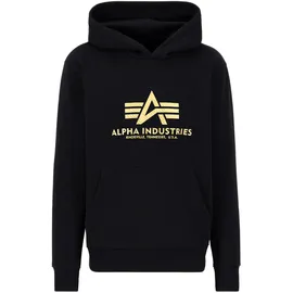 Alpha Industries Basic Carbon Kapuzenpullover Black / Gold L