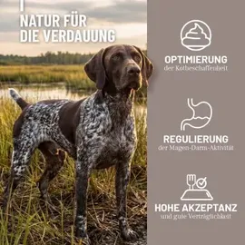 reavet Heilmoor für Hunde 500 g