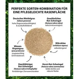Dehner Saatgut Mikroklee-Rasen,