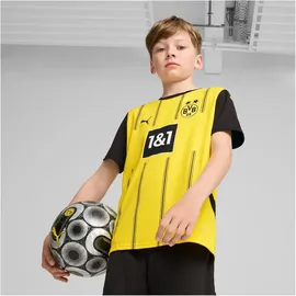 Puma BVB Borussia Dortmund Heimtrikot 2024/25 Kinder 01 faster yellow/black 152