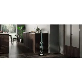 AEG Clean 5000 Akku-Staubsauger AS52CP21OG