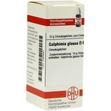 DHU-ARZNEIMITTEL GALPHIMIA GLAUCA D 6