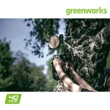 Greenworks GD40TCS ohne Akku / 25 cm